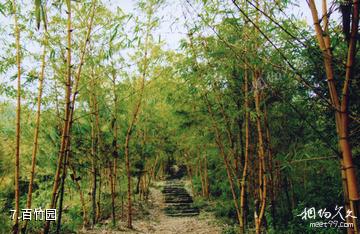 厦门天竺山风景区-百竹园照片