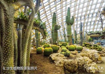 太原植物園-沙生植物館照片