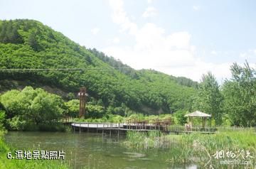 黑龍江鳳凰山國家級自然保護區-濕地照片