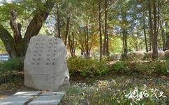 韓國春川南怡島旅遊攻略之南怡將軍的墓地