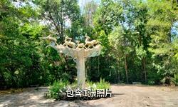 沙湾三道河子森林公园驴友相册