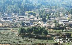 騰衝中營·梅花村旅遊攻略之山村