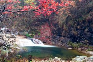 安徽安慶岳西包家旅遊攻略-包家鄉景點排行榜