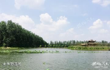 仙桃梦里水乡生态旅游区-乡野湿地照片