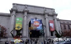 美国纽约市旅游攻略之美国自然历史博物馆