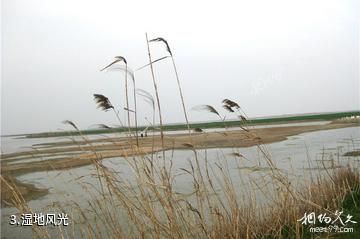 江都邵伯湖风景区-湿地风光照片