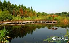上海吴淞炮台湾国家湿地公园旅游攻略之镜湖映影