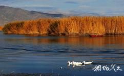 新疆可可苏里旅游攻略之天鹅凫水