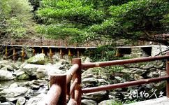 漢中天台森林公園旅遊攻略之啞姑山