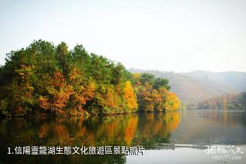 信陽靈龍湖生態文化旅遊區照片