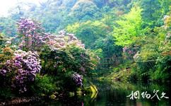 廣西大明山國家級自然保護區旅遊攻略之龍湖