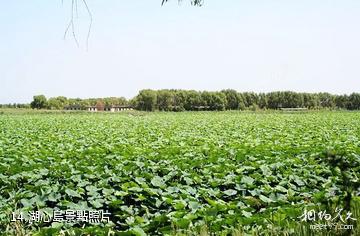 瀋陽仙子湖風景度假區-湖心島照片