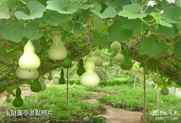 青島蔬菜科技示範園-財廣亭照片