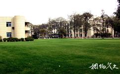 电子科技大学校园概况之绿地草坪