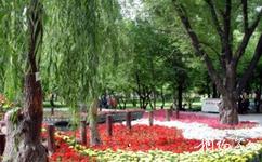 乌鲁木齐燕尔窝旅游攻略之园艺花卉展示区