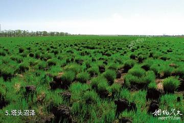 大兴安岭汗马国家级自然保护区-塔头沼泽照片