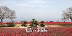 胶东半岛海滨风景名胜区驴友相册