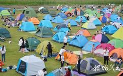 泗洪洪澤湖濕地旅遊攻略之露營基地