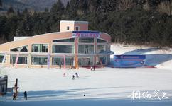 伊春梅花河山庄度假村旅游攻略之梅花山滑雪场