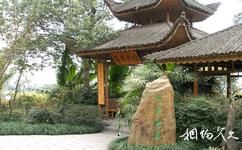 重庆南山植物园旅游攻略之蔷薇园
