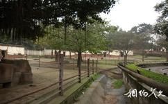 重庆动物园旅游攻略之扭角羚馆