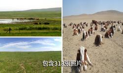 內蒙古錫林郭勒草原驢友相冊