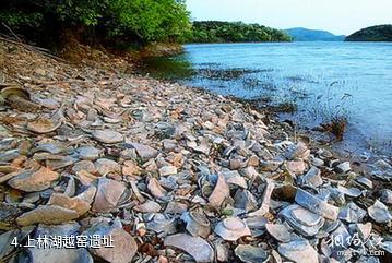 宁波上林湖景区-上林湖越窑遗址照片