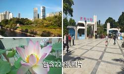 深圳洪湖公园驴友相册
