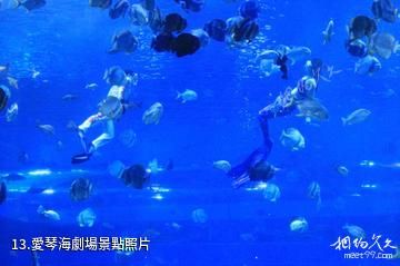 重慶漢海海洋公園-愛琴海劇場照片