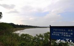 泸州张坝桂圆林旅游攻略之人工湖