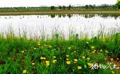 忻州云中河旅游攻略之湿地