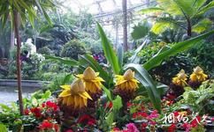 北京植物园旅游攻略之热带植物展览温室