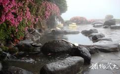 重慶頤尚溫泉度假村旅遊攻略之花之戀池、中醫養生池