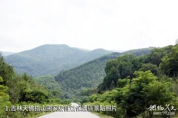 吉林天佛指山國家級自然保護區照片