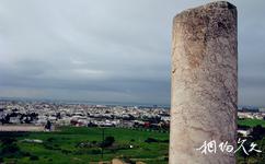 突尼西亞市旅遊攻略之花崗石圓柱