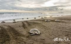 奧斯蒂奧納爾國家野生動物保護區旅遊攻略