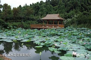 蘇州天池山風景區-溪水花堤照片