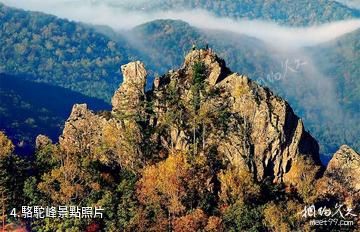 吉林仙景颱風景名勝區-駱駝峰照片