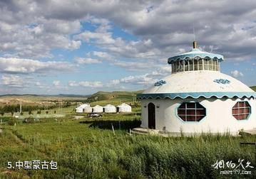 锡林郭勒盟多伦县滦源殿旅游度假村-中型蒙古包照片
