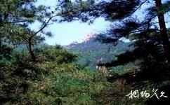 泰安徂徠山國家森林公園旅遊攻略之鳳凰台
