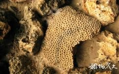 肯亞蒙巴薩市旅遊攻略之珊瑚石