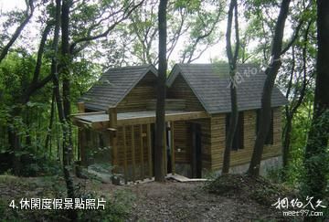 巴中南陽森林公園-休閑度假照片