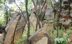 蘇州天平山旅遊攻略之護山奇石