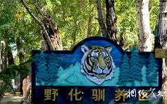 哈尔滨东北虎林园旅游攻略之野化驯养区