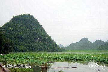 研山浴仙湖-鯉魚島照片
