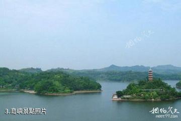 廣安岳池翠湖-島嶼照片