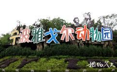 宁波雅戈尔动物园旅游攻略