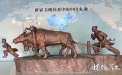 杨凌农业博览园旅游攻略之中国农业历史博物馆