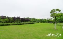 上海淞南公園旅遊攻略之綠地