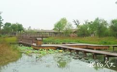 苏州太湖国家湿地公园旅游攻略之生态景观